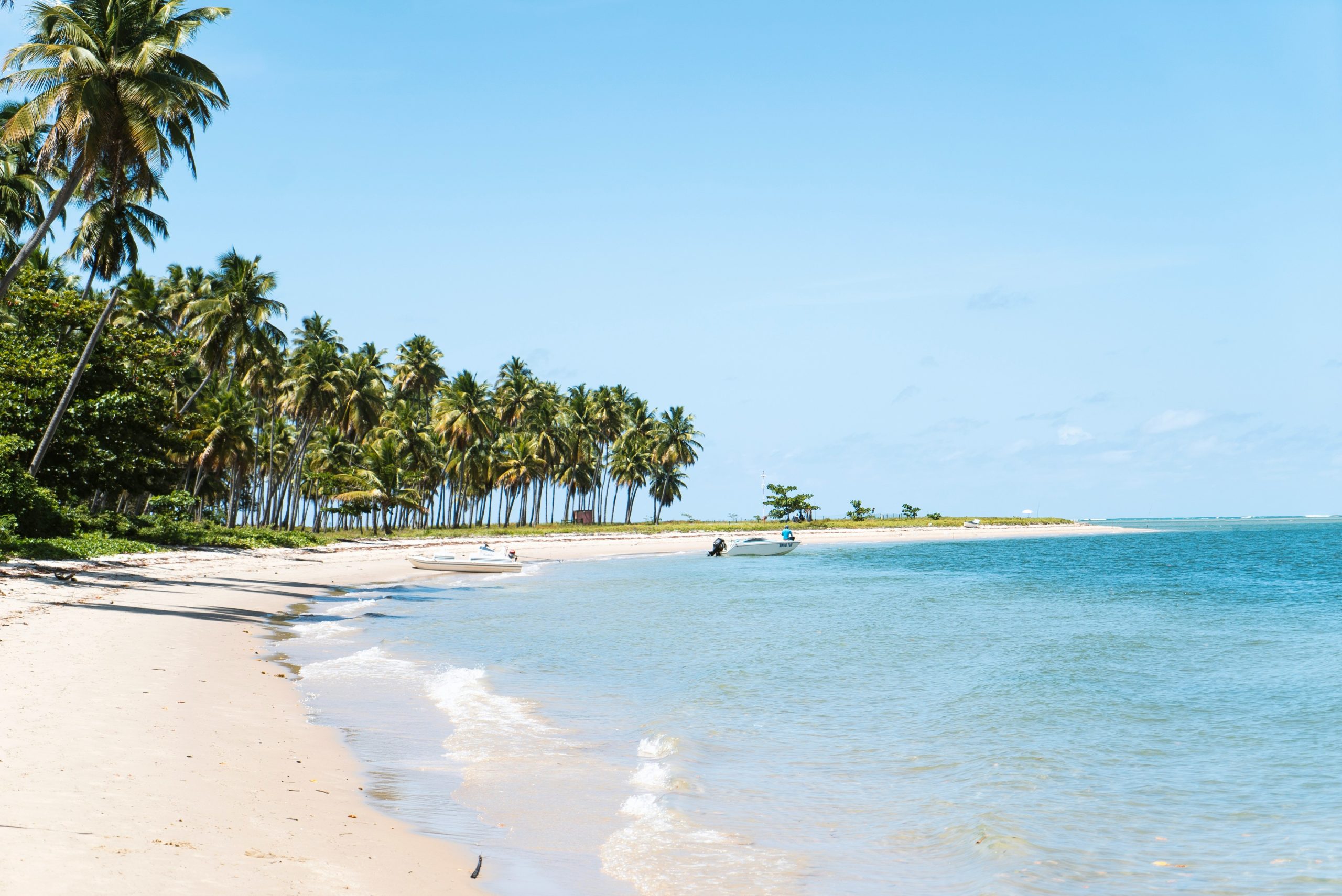 discover the perfect tropical getaways for your next vacation. explore stunning beaches, lush rainforests, and vibrant cultures in these idyllic destinations.
